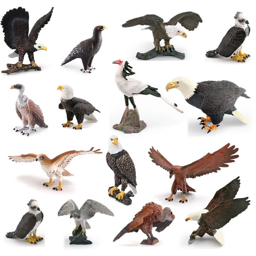 Kids Toys Under 1 Year - Realistic Wildlife Animal Birds of Prey
