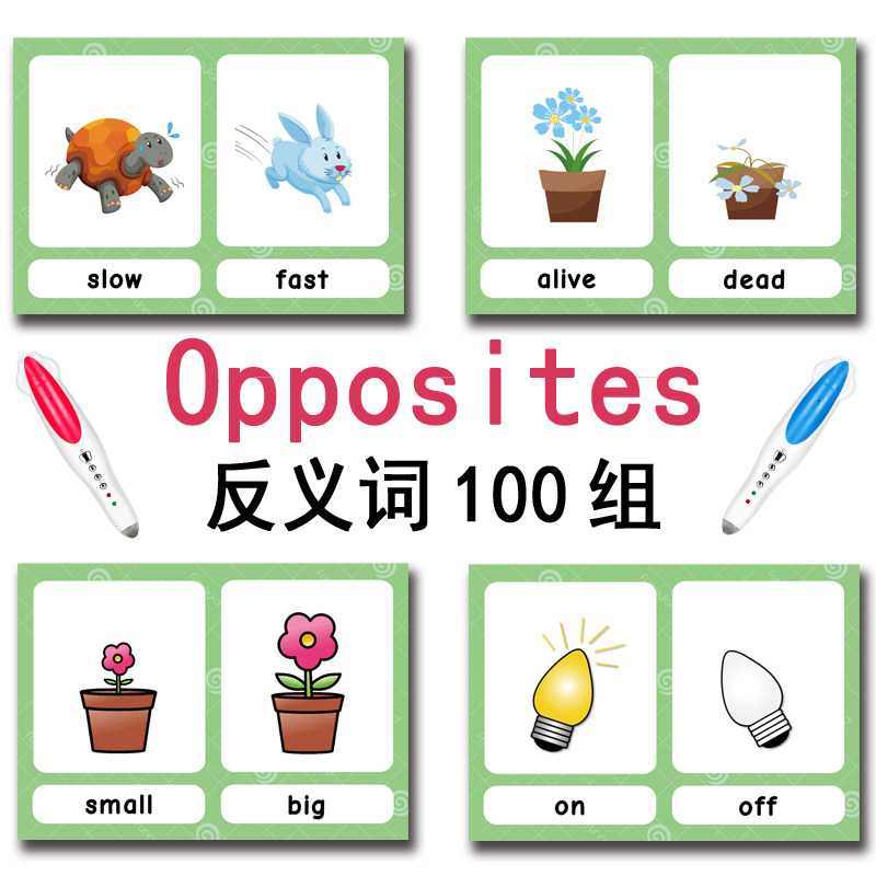 The 100 Groups Opposites Flash - đánh giá và giá Card Game Kids