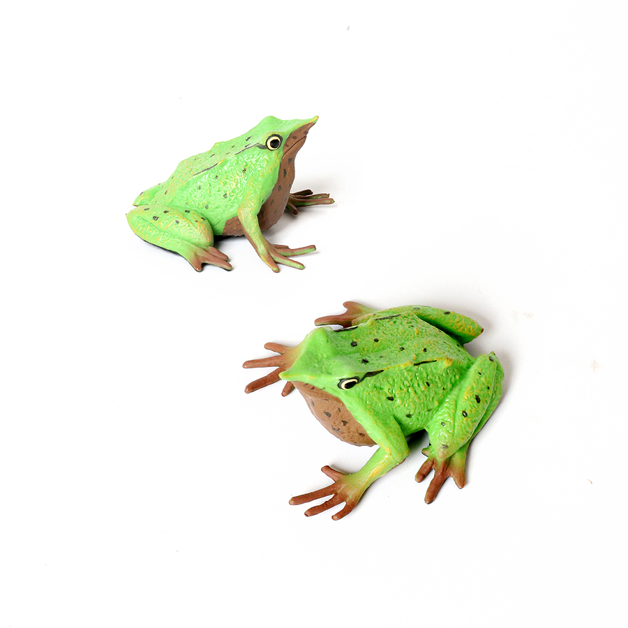 Rainforest Animals Frogs Figur - đánh giá và giá Kids Toys Under 1 Year