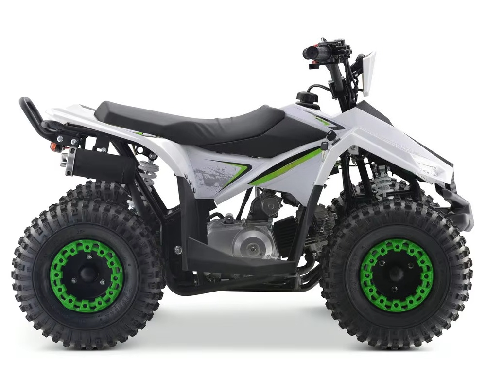 110cc Gas Powered Kids ATV 4 W - đánh giá và giá Kids Toys Quad