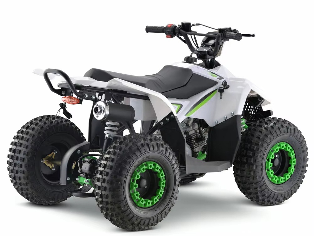 110cc Gas Powered Kids ATV 4 W - đánh giá và giá Kids Toys Quad