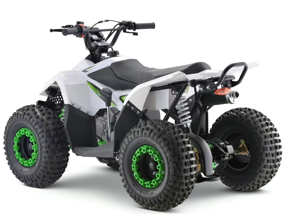110cc Gas Powered Kids ATV 4 W - đánh giá và giá Kids Toys Quad