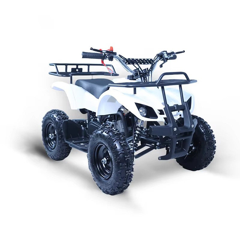 49cc Mini ATV Kids Quad Bike 2 - đánh giá và giá Kids Toys Quad