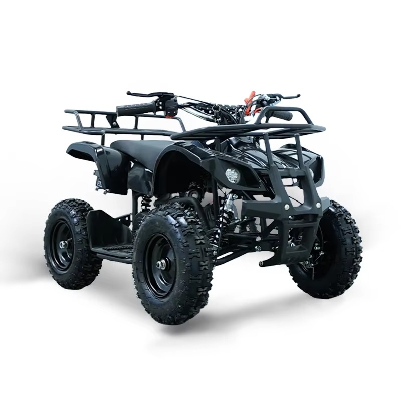 49cc Mini ATV Kids Quad Bike 2 - đánh giá và giá Kids Toys Quad