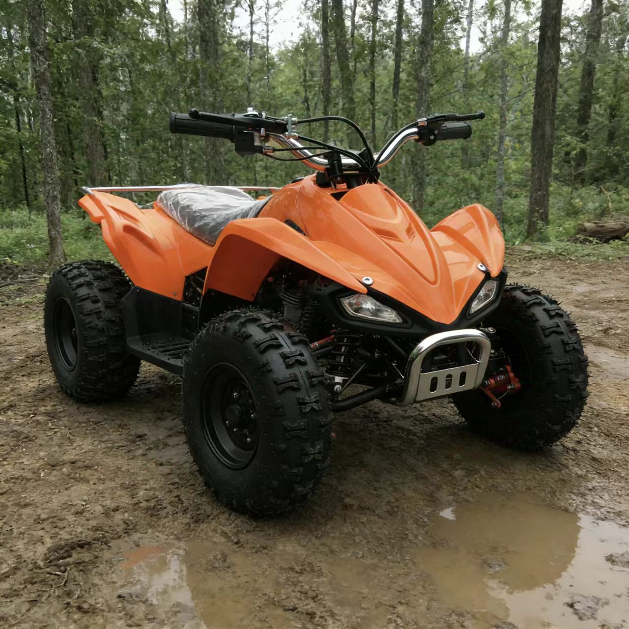 36V Electric ATV for Kids 4 Wh - đánh giá và giá Kids Toys Quad