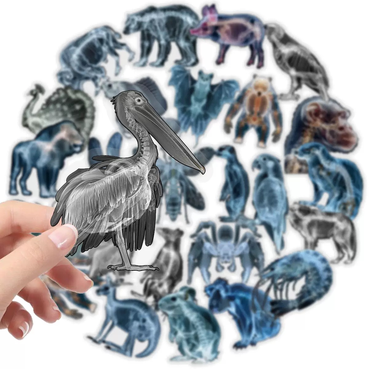 10/56pcs Animal Skeleton Stick - đánh giá và giá Kids Xray Toys
