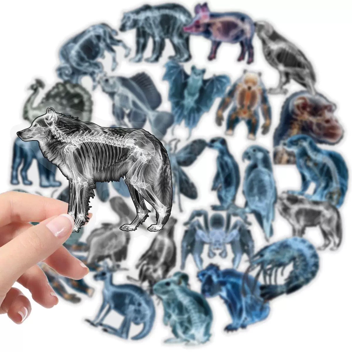 10/56pcs Animal Skeleton Stick - đánh giá và giá Kids Xray Toys