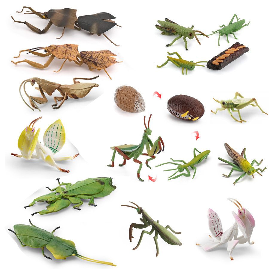 Realistic Orchid Mantis Dead L - đánh giá và giá Kids Toys Under 1 Year